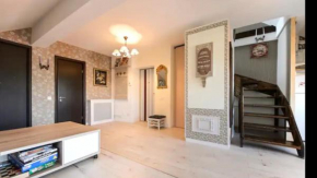 Cozy apartment Brasov